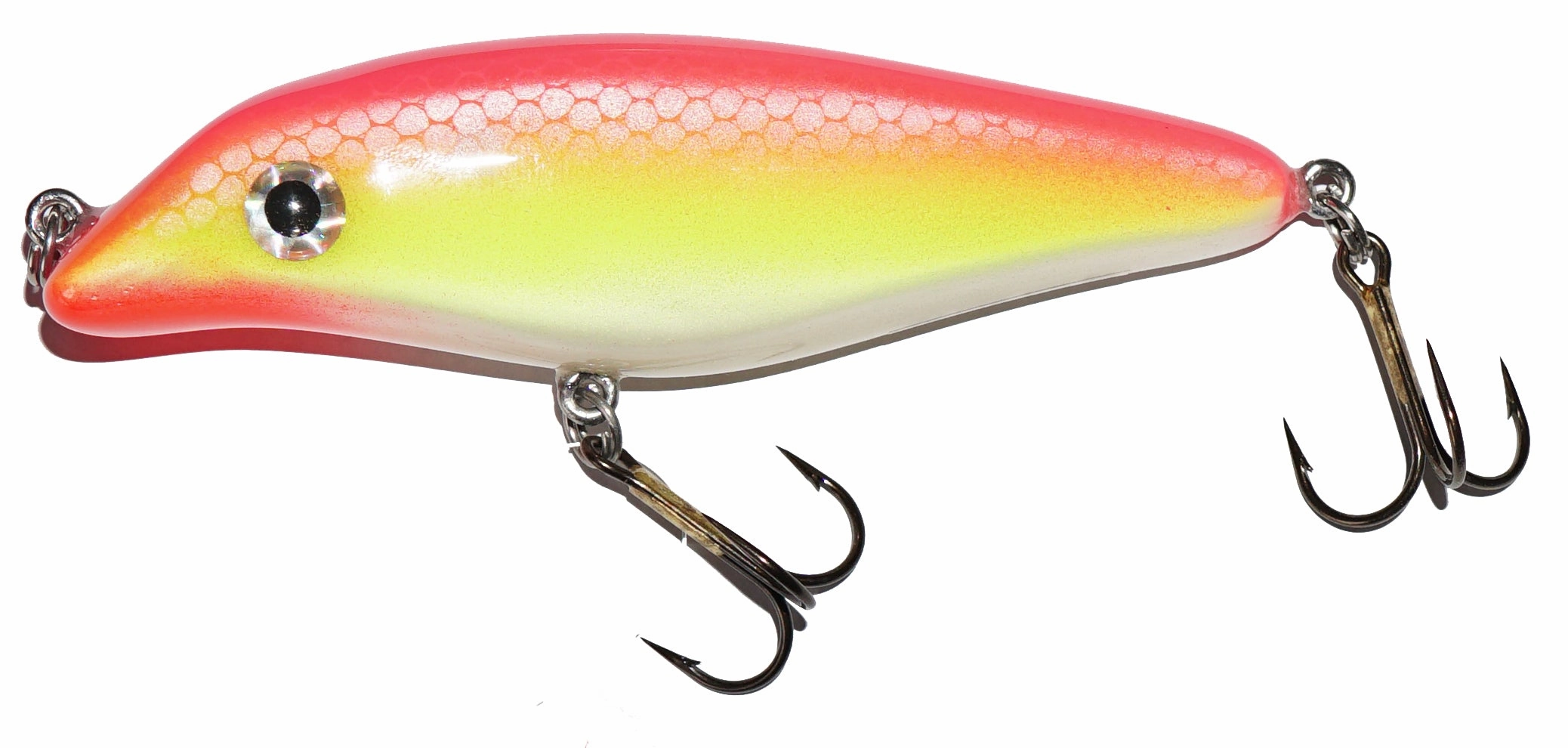 Big Fork Sand Cat Series Jerkbait 4.5" Model
