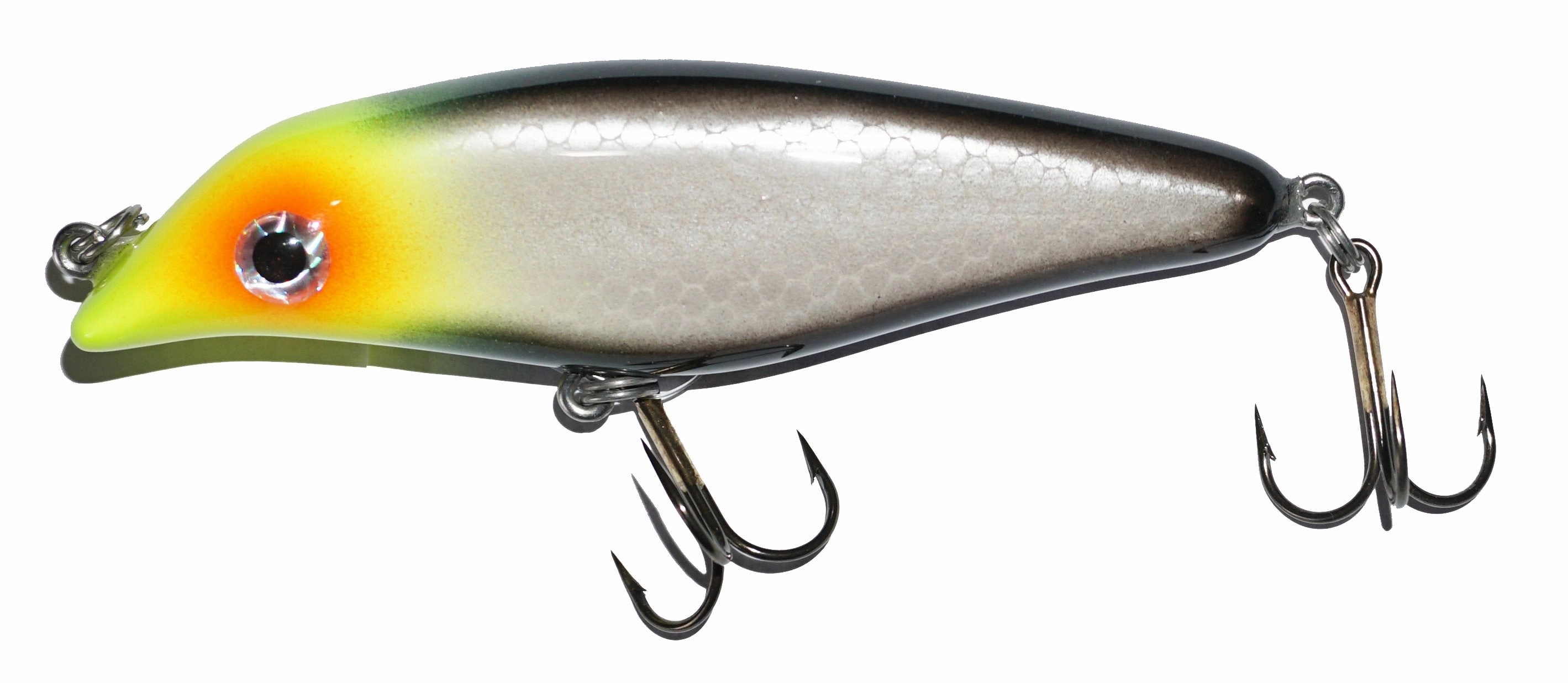 Big Fork Sand Cat Series Jerkbait 4.5" Model