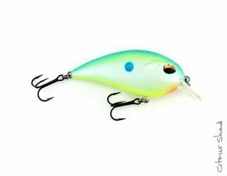 CD2 Square Bill Crank Bait