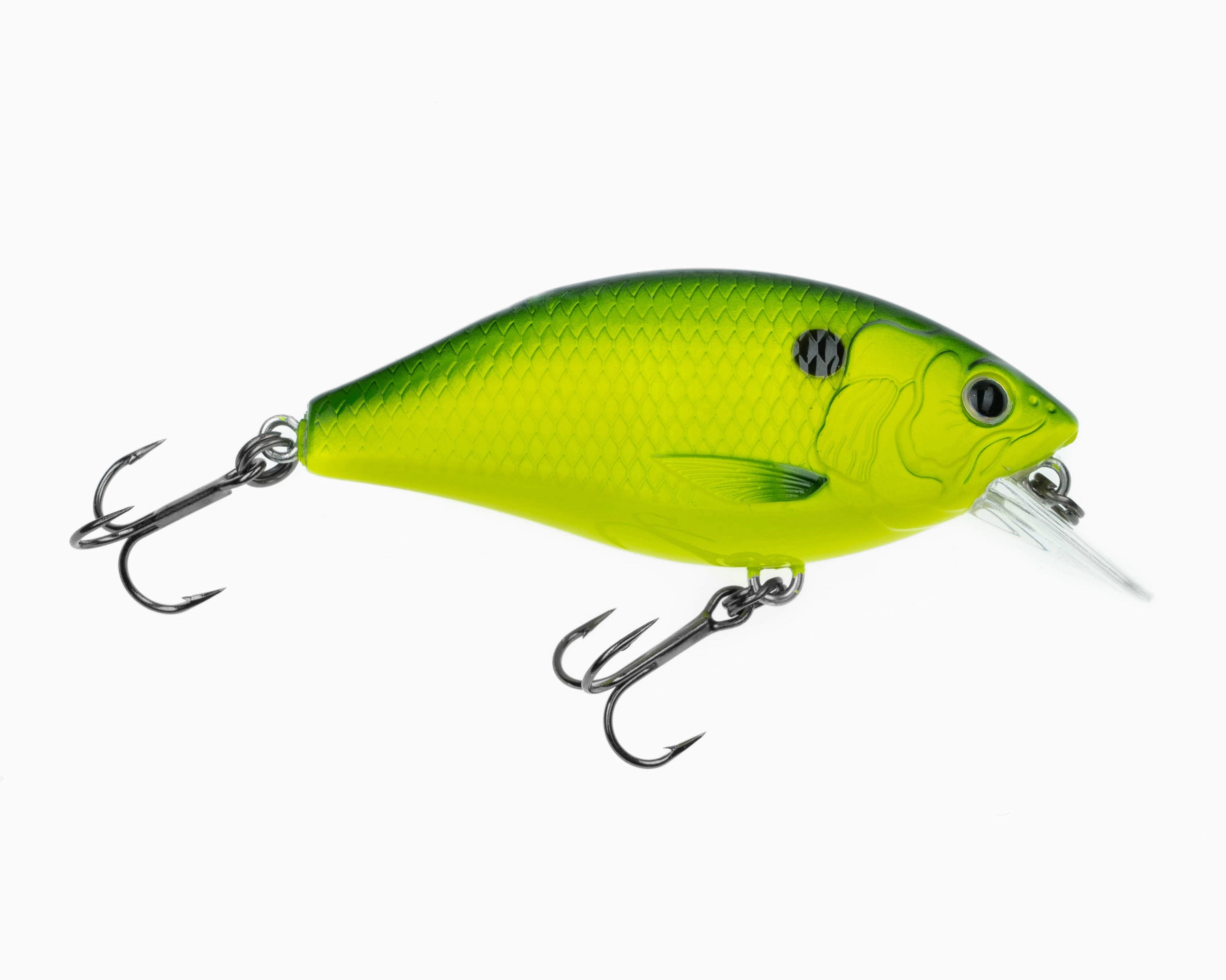 RAD Squarebill